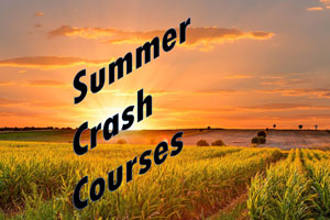 Summer Crash Courses